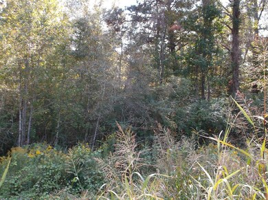 Road view of 4.38 acres