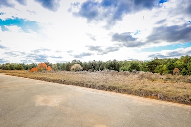 LOTS 1-7 Brenda Ln, Henderson, TX 75657 - photo 4