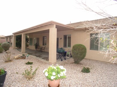Rear Yard and Patio