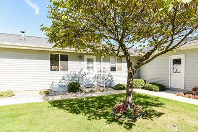 Green Meadow 5061-2