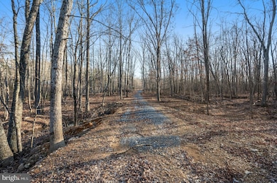 LOT 4 Back Creek Rd, Gore, VA 22637 - photo 6