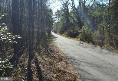 0 Mt Airy Dr unit 1000142911, Ruther Glen, VA 22546 - photo 5