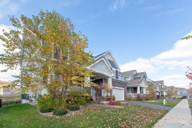 4038-Holasek-Path-4