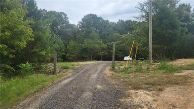 View of dirt / gravel road with a forest view