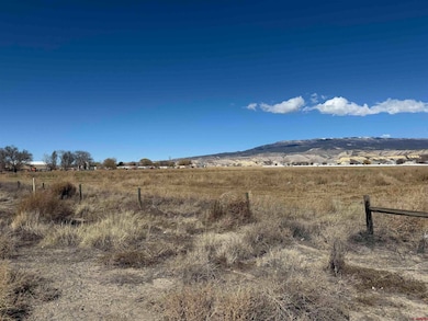 10.5 ac. LOT 1B 1525 Rd, Delta, CO 81416 - photo 3