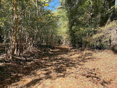 0 Bethuel Rd unit Lot 3, Unincorporated, TN 38053 - photo 7