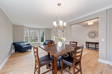 340 Lake Plumleigh Way, Algonquin, IL 60102 - photo 5