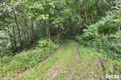 2045 Heitz Rd, Jacksonville, IL 62650 - photo 7