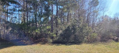 Deep 70 x 209 wooded lot