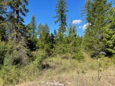 XXXX Burnt Valley Rd, Chewelah, WA 99109 - photo 3