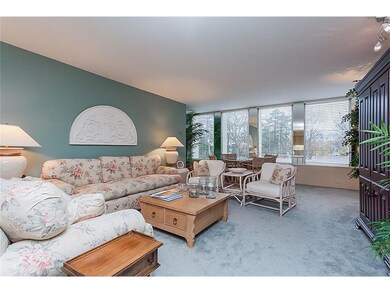 Sunny living room with new thermal pane windows an