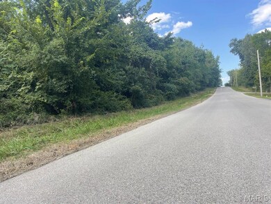 0 Co Rd 605, Dexter, MO 63841 - photo 4