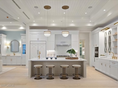 Kitchen featuring white cabinetry, a tray ceiling,