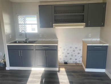 Kitchen with dark wood-type flooring and open shelves