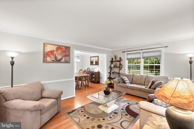 6159 Majors Ln, Columbia, MD 21045 - photo 6