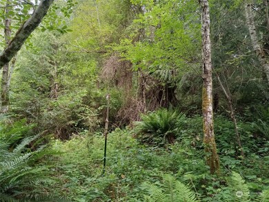 16917 92nd St SW, Longbranch, WA 98351 - photo 7