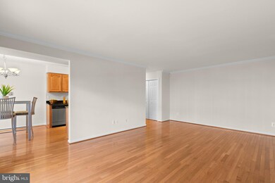 3336 Spring Ln unit A-26, Baileys Crossroads, VA 22041 - photo 5