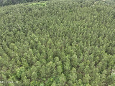 DJI_20230524154352_0004_V