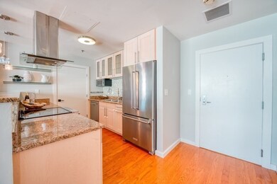The Strada 234 unit 1105, Boston, MA 02114 - photo 7