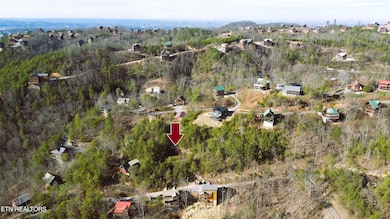 0 Red Bone Way unit 1315319, Pigeon Forge, TN 37876 - photo 4