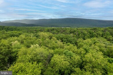 Lot 2C N Timber Ridge Rd, Cross Junction, VA 22625 - photo 6