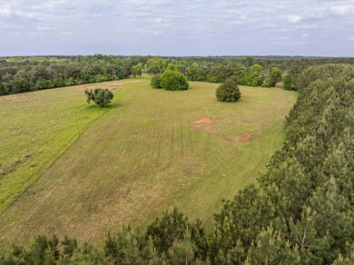 5740 Cobbham Rd, Appling, GA 30802 - photo 7