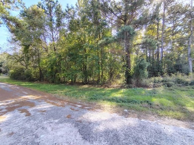 112 Tropicana Ct, Orangeburg, SC 29118 - photo 4