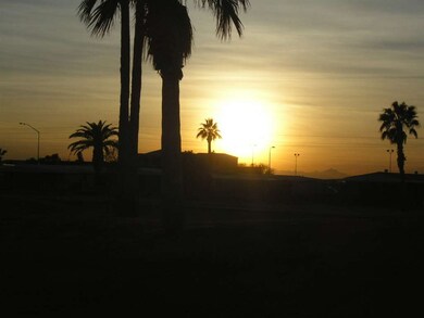Back Yard Sunset!!!!