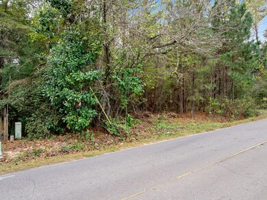 135 Kitfield Rd, Moncks Corner, SC 29461 - photo 6