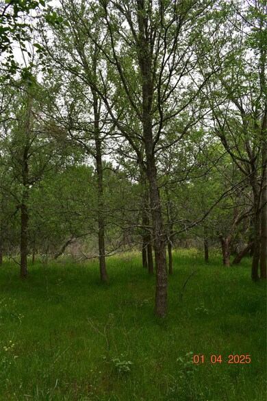 View of local wilderness
