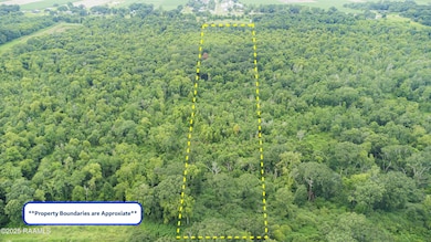 Tbd E Admiral Doyle, New Iberia, LA 70560 - photo 2