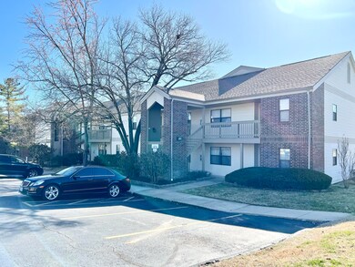 137 Highland Dr. #8