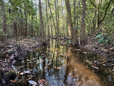 10075 Youngstowne Dr, Semmes, AL 36575 - photo 2