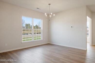 11700 Parkview Point, Louisville, KY 40229 - photo 7