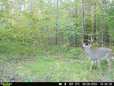 0 Silerton Rd, Toone, TN 38381 - photo 2