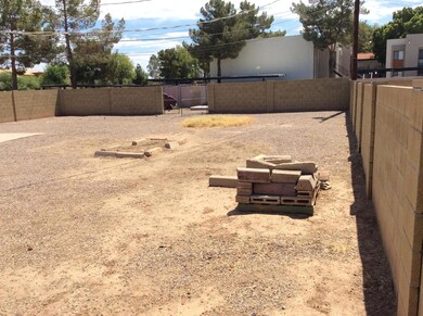 Backyard 4