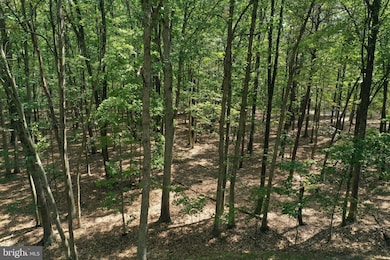 0 Walnut Ridge Rd SE unit MDAL2011226, Oldtown, MD 21555 - photo 4