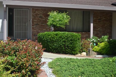 Easy care landscaping