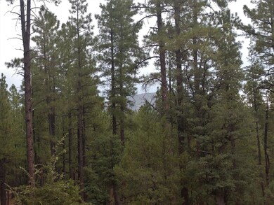 Forest to the Rim