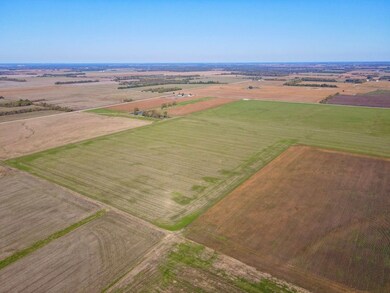 Baseline Blvd and Hwy 37, Golden City, MO 64748 - photo 5