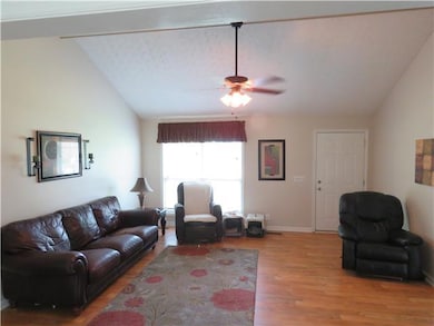 Living room from the Kitchen has Cathedral ceiling, pretty laminate floor