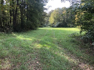 81.15 ac U S 59, Nacogdoches, TX 75965 - photo 2