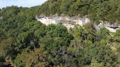 22798 River View Dr, Richland, MO 65556 - photo 4