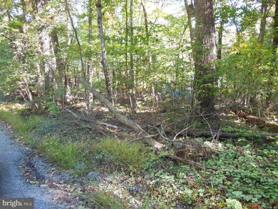 0 Shag Bark Rd unit 1009934052, Harpers Ferry, WV 25425 - photo 4