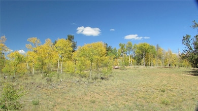 1044 Buffalo Ridge Rd, Como, CO 80432 - photo 7