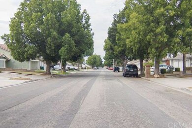 TREE LINED STREET