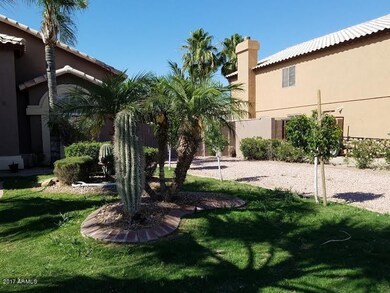Front Yard