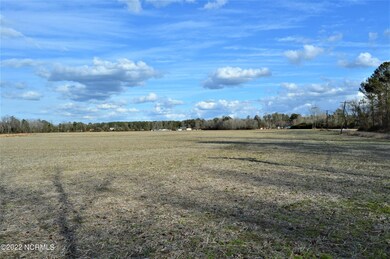 60.61 Acre Hwy 117 S, Burgaw, NC 28425 - photo 3