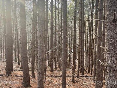 29 Tallwood Rd, Leicester, NC 28748 - photo 3