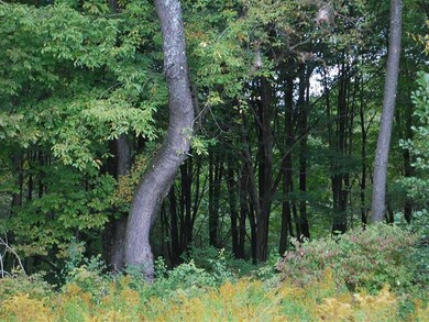 0 Irish Rd unit 28823, Venango Township, PA 16412 - photo 5